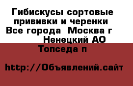 Гибискусы сортовые, прививки и черенки - Все города, Москва г.  »    . Ненецкий АО,Топседа п.